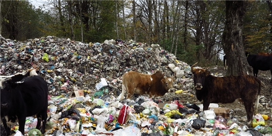 شیرابه ها ؛ تازیانه مرگبار زباله بر سلامت مردم مازندران
